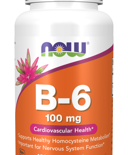 Vitamin B-6 100mg 100Capsules