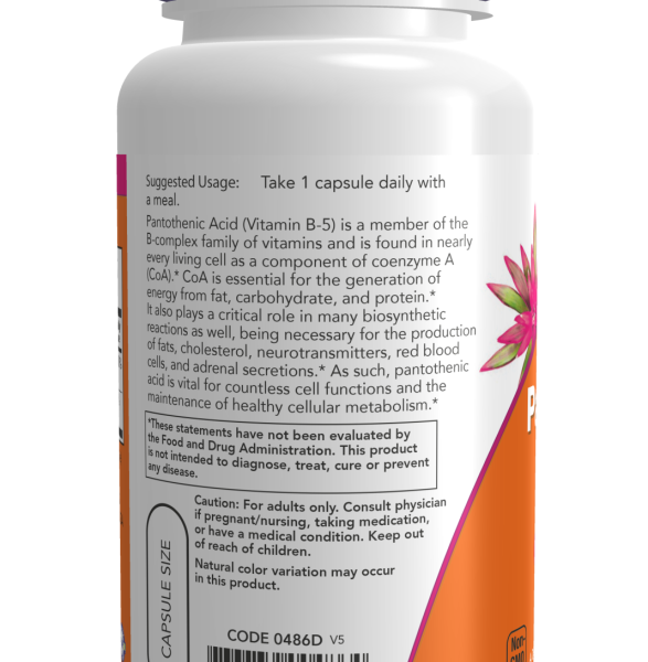 Pantothenic Acid 500mg 100Capsules